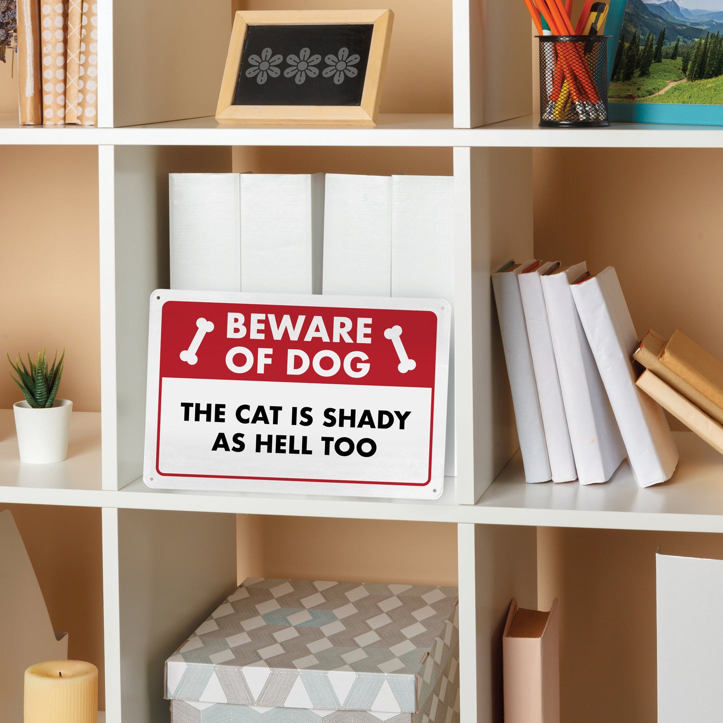 Beware of Dog - The Cat is Shady as Hell Too - 8" x 12" Funny Metal Sign