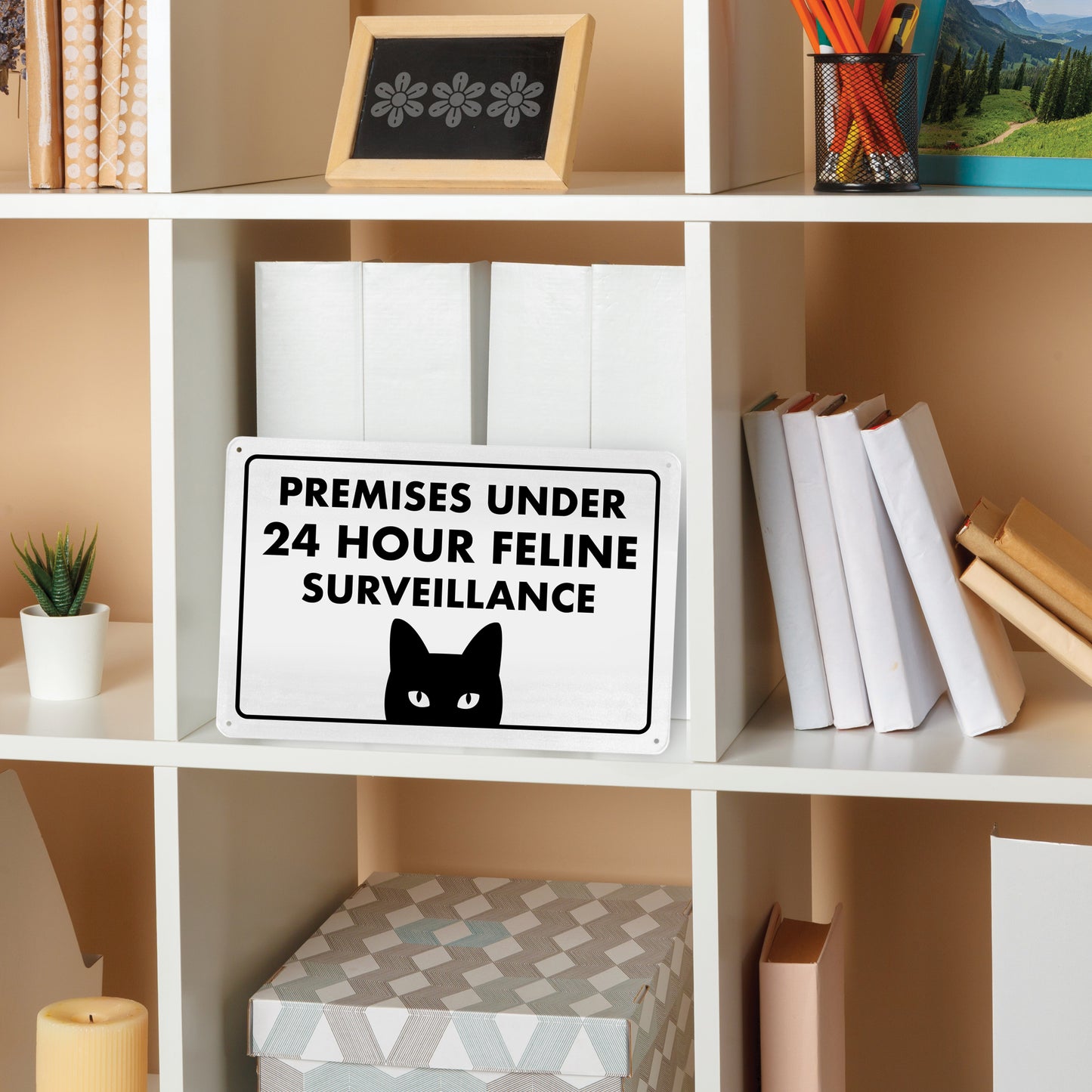 Premises Under 24 Hour Feline Surveillance - 8" x 12" Funny Metal Sign