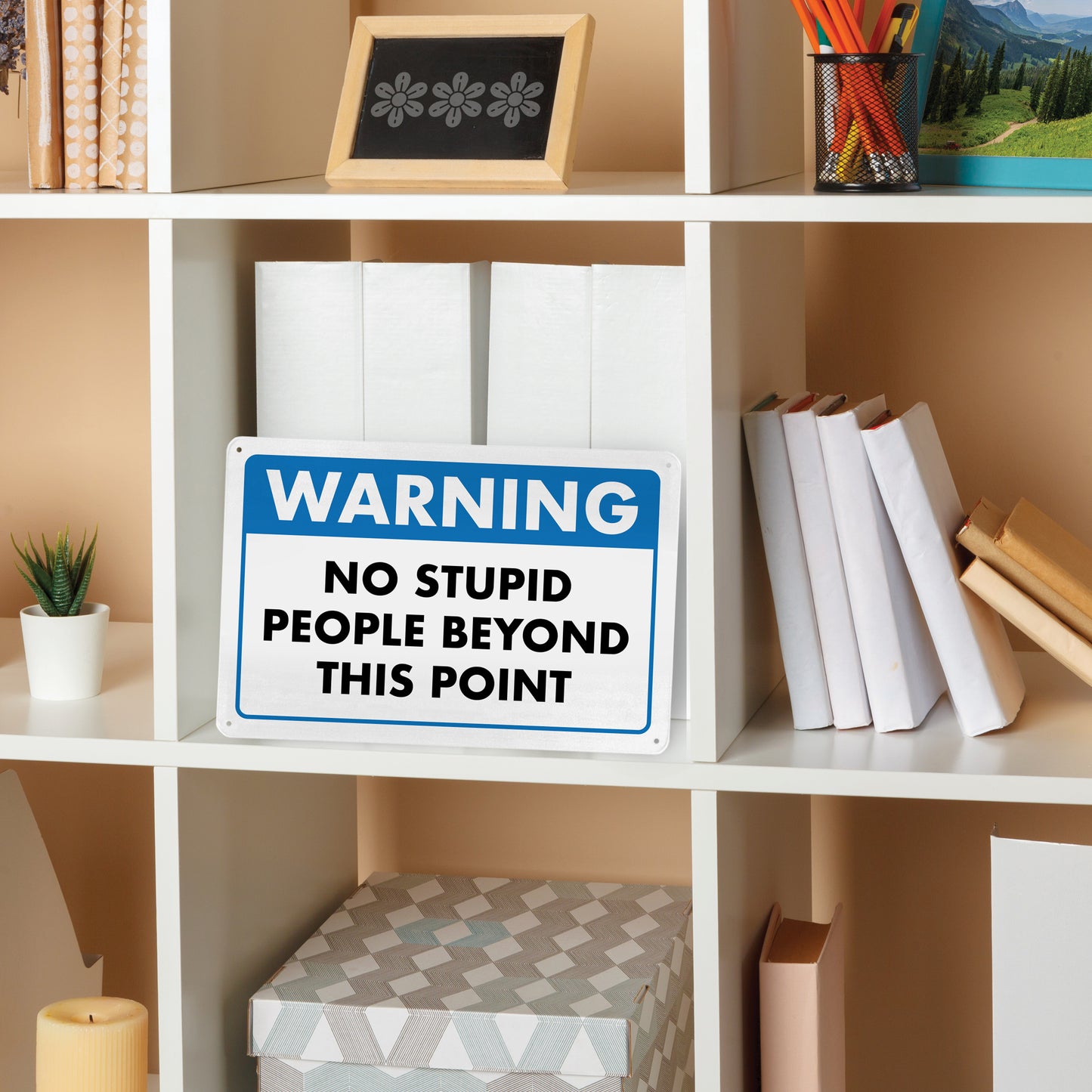 Warning - No Stupid People Beyond This Point - 8" x 12" Funny Metal Sign