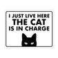 I Just Live Here, the Cat is In Charge - 8.5" x 11" Funny Laminated Sign