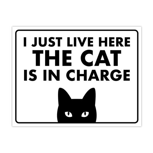 I Just Live Here, the Cat is In Charge - 8.5" x 11" Funny Laminated Sign