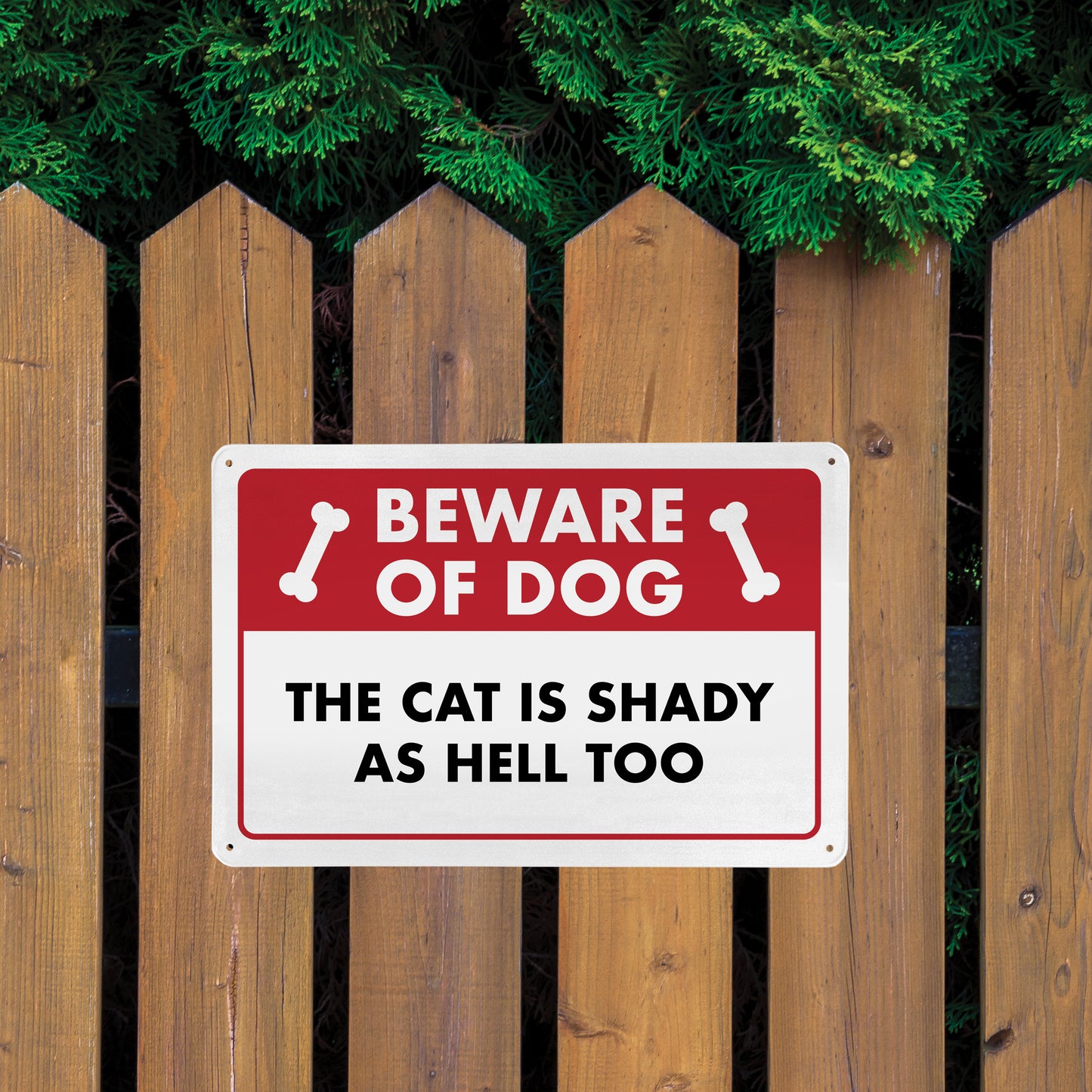 Beware of Dog - The Cat is Shady as Hell Too - 8" x 12" Funny Metal Sign