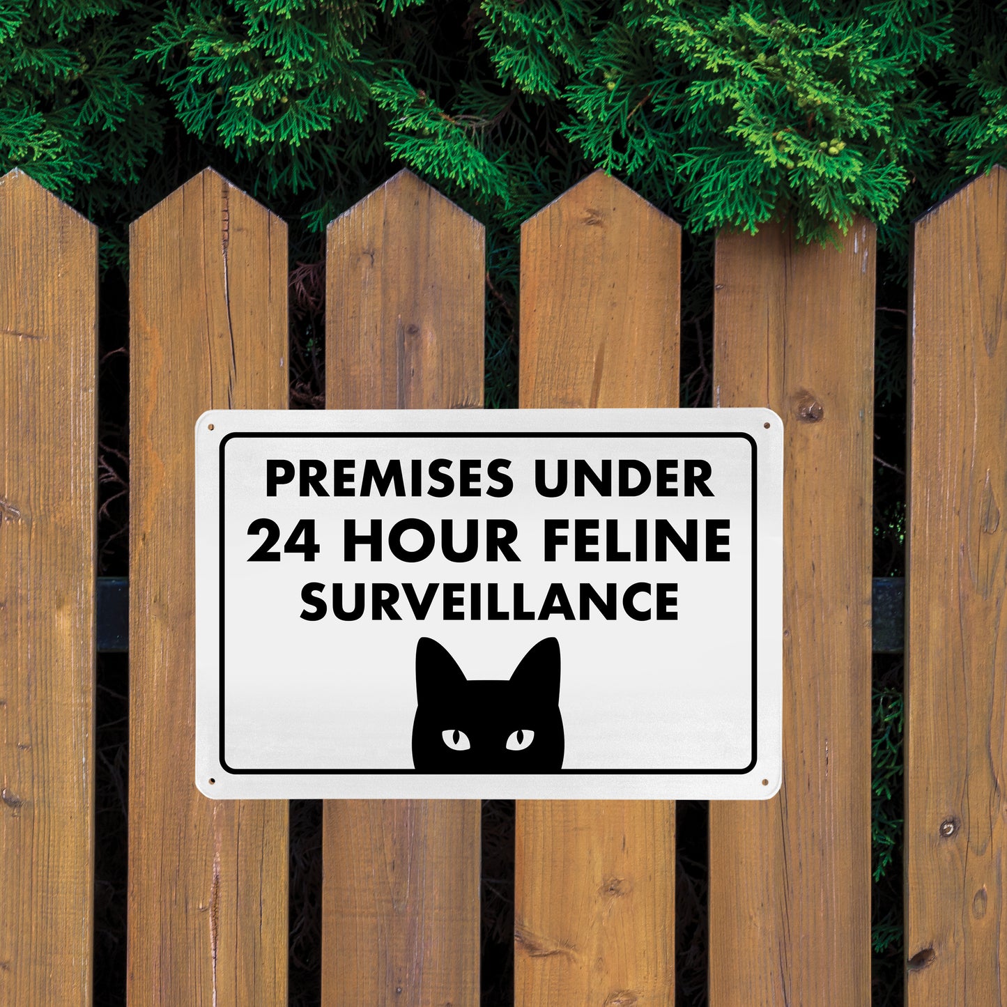 Premises Under 24 Hour Feline Surveillance - 8" x 12" Funny Metal Sign