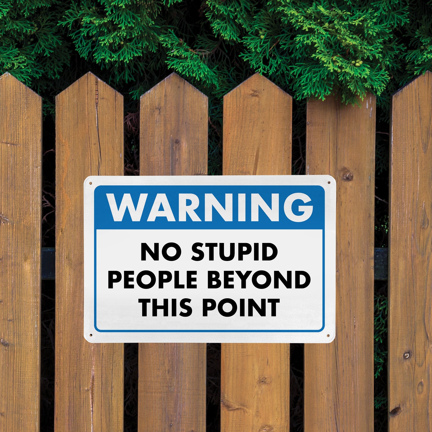 Warning - No Stupid People Beyond This Point - 8" x 12" Funny Metal Sign